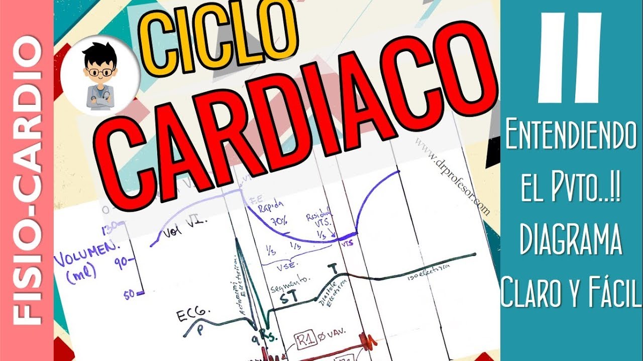 CICLO CARDÍACO, Entendiendo el P*to diagrama..!! de Wiggers,  Correlación clínica |Fisio-Cardio|2