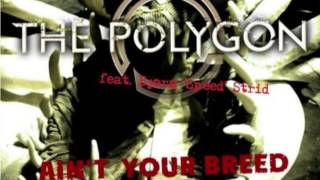 The Polygon (feat Bjorn "Speed" Strid) - Ain't Your Breed