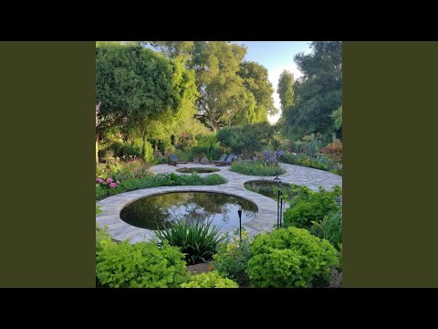 Revitalized by waves that glide