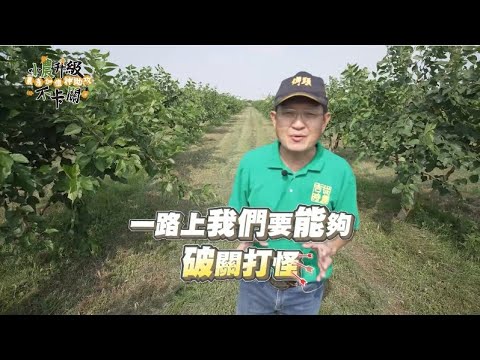 小農升級 加工打樣神助攻 破關打怪不卡關