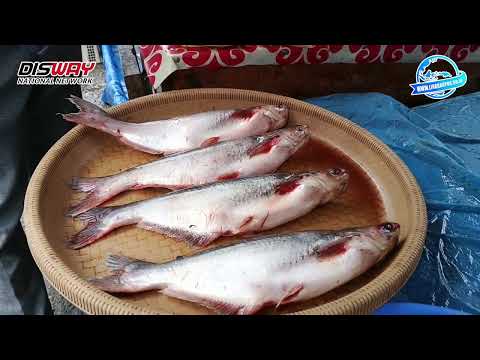 Harga Ikan Laut dan Ikan Giling Naik Jelang Ramadan