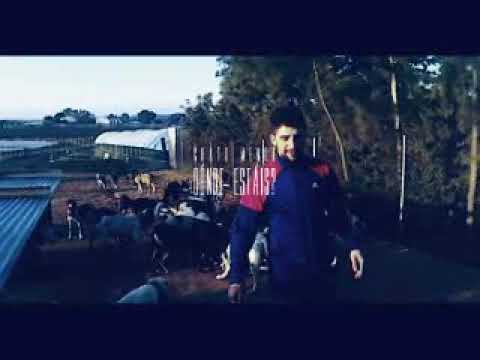 CHATO MENOR - DONDE ESTAIS