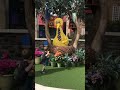 Dancing Boy At Sea World Sesame Street