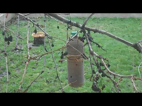 Хранилка за птици, Пиксел Депо студио, Добрич