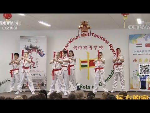 Fã de Taiji Kungfu (Aprenda Chinês)Jing Jing中文2020