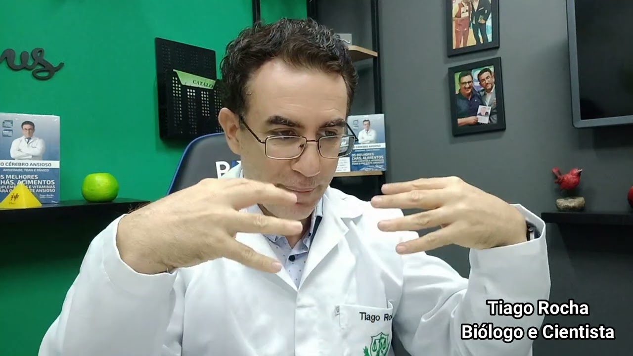 INSULINA Alta x INSULINA Baixa.