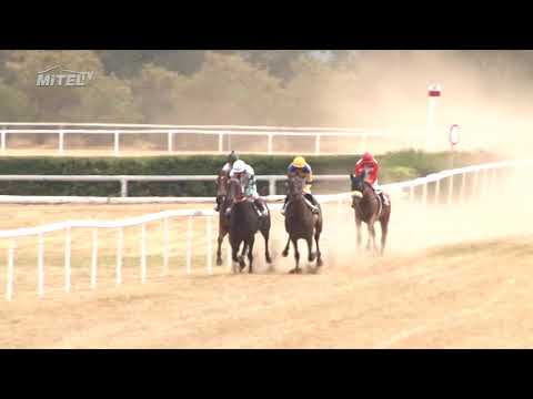 MI, 4. 8. 2018, 3. dostih - Cena firmy Oma cz a.s.