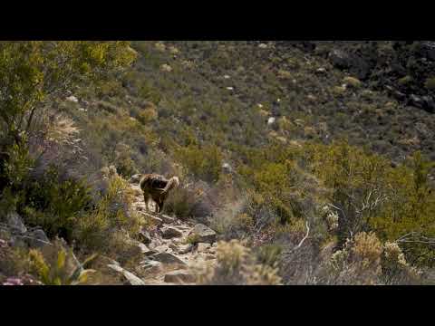 Utah Desert Hiking | Living Wild, Healing Quietly | Higman Private Collection