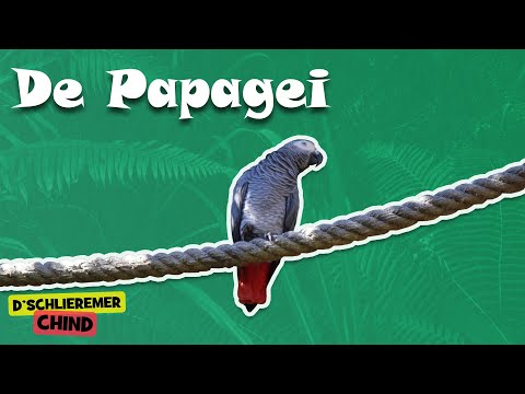 Schlieremer Chind - De Papagei