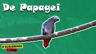 Schlieremer Chind - De Papagei