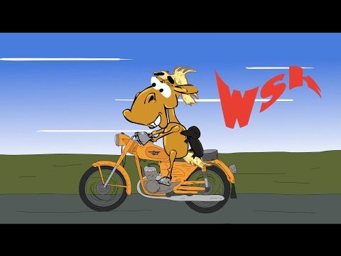 KOŃ RAFAŁ - WSK, SKARB