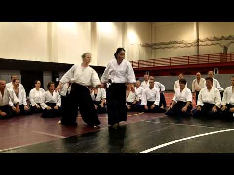 Yoko Okamoto: Aihanmi iriminage