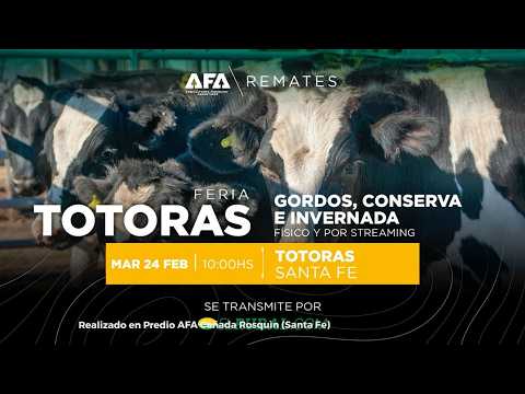 Remate AFA Gordos, Conserva e Invernada desde Totora Santa Fe