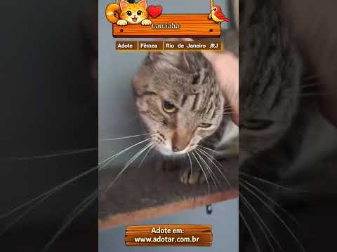 Vídeo de Laurinha