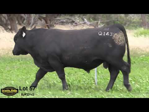 GRANITE RIDGE QUIGLEY Q143