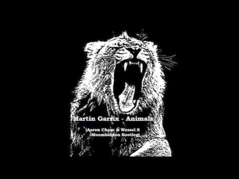 Martin Garrix - Animals (Aaron Chase & Wessel S Moombahton Bootleg)