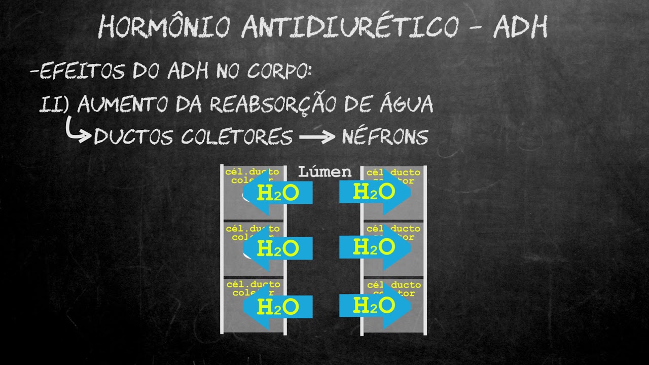 ADH - Hormônio antidiurético