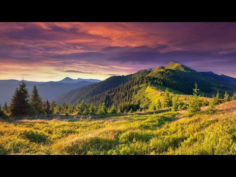 Liquid Drum and Bass Mix 343