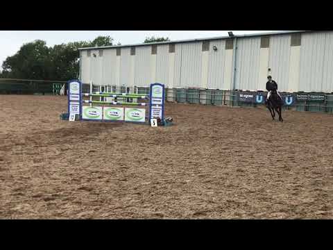 C&g pie 6 year old winning 1.30 Connell hill