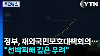 정부, 재외국민보호대책회의..."선박 피해 깊은 우려" / YTN
