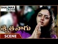 Swetha Naagu Movie Soundarya Climax Sentiment Scene Soundarya Abbas Shalimarcinema