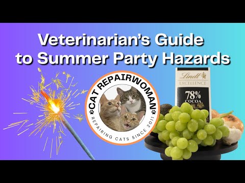 Cat Hazards and Toxins You Need To Know About