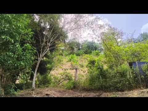 FINCA VIANI (CUNDINAMARCA)