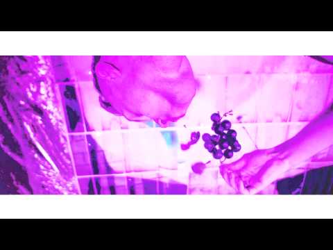 Demo & Limit - SUPERBOWL (official video)