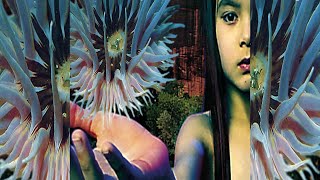 T̲h̲e̲ F̲u̲t̲u̲r̲e̲ S̲o̲u̲n̲d̲ o̲f̲ L̲o̲n̲d̲o̲n̲ - L̲i̲f̲e̲f̲o̲r̲m̲s̲ [Full Album, gapless]