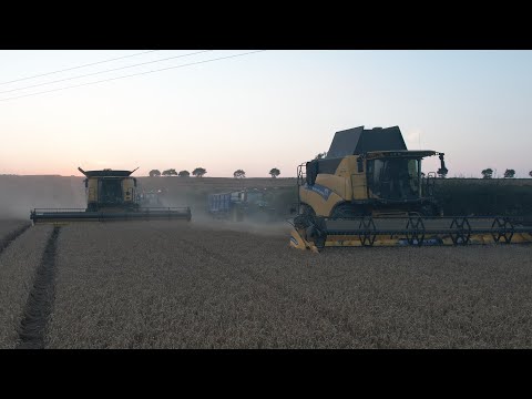 New Holland Cr 9.90 Wheat Harvest 2022