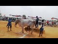 Konidela Tirunala Videos March 2020 4