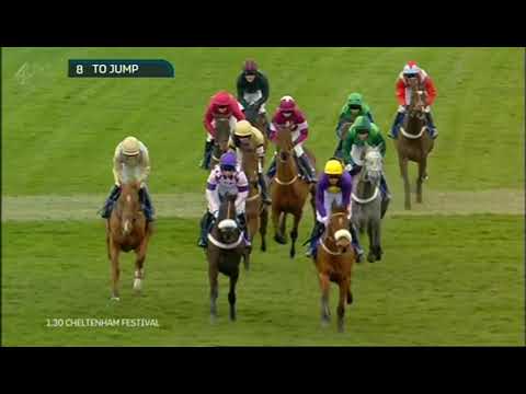 2015 Neptune Investment Management Novices' Hurdle - Cheltenham Festival