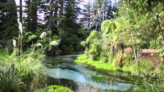 Hamurana Springs Rotorua