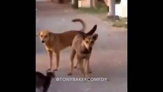 Tony Baker Voice Over Compilation 😂😂😂