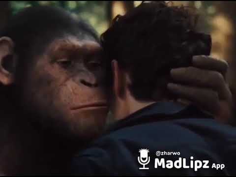 Bisikan maut lucinta luna