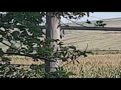 R16520 Iași - Dorohoi