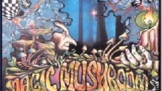 Magic Mushroom Band Arthur Mix