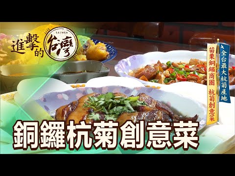 全台最大杭菊產地 苗栗銅鑼商圈 杭菊創意菜 第437集《進擊的台灣》