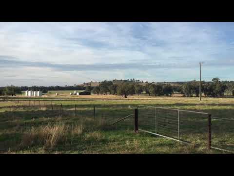 🏏Bradman’s First Home: Budawarrah Centre, Temora.