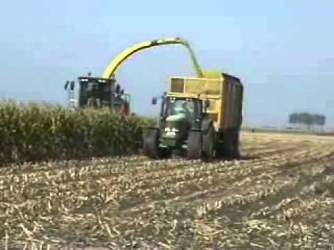 Segaert: Mais hakselen.