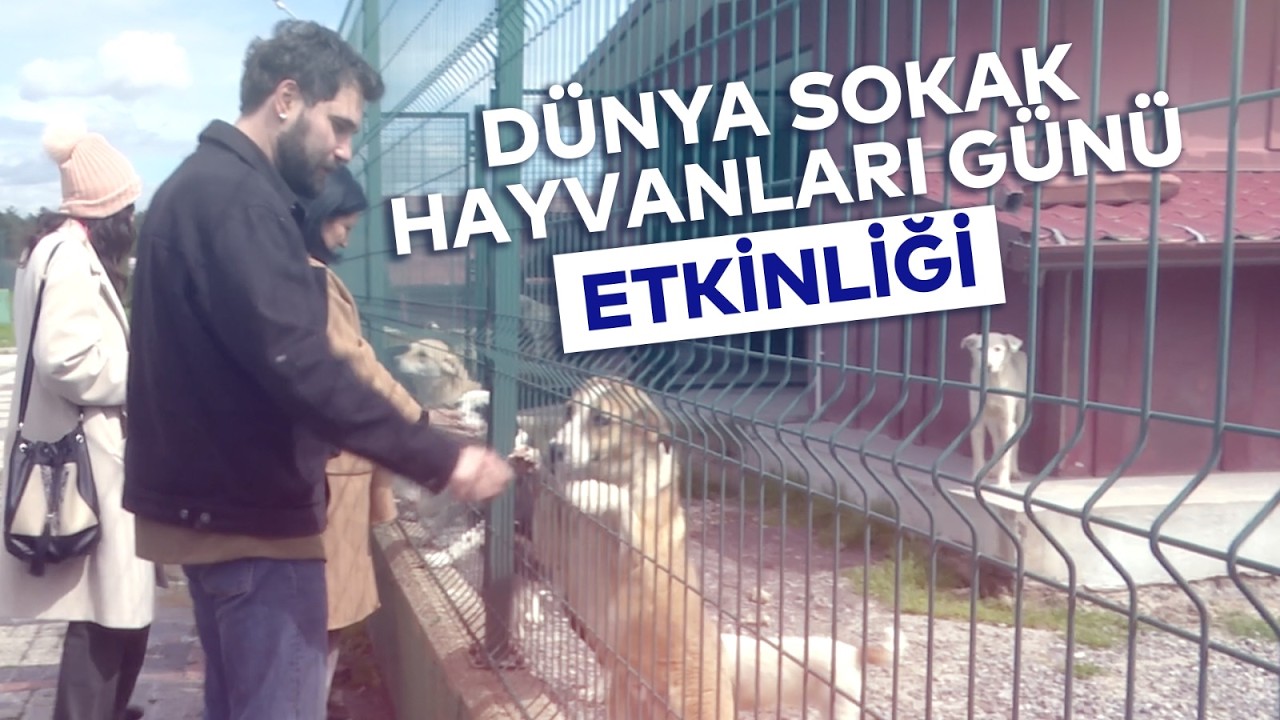 DÜNYA SOKAK HAYVANLARI GÜNÜ ETKİNLİĞİ