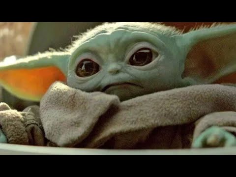 Everything We Know About Baby Yoda's Species