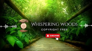 🌿 1 Hour Relaxing Spa Music | No Copyright Music  | Whisper Woods🌿