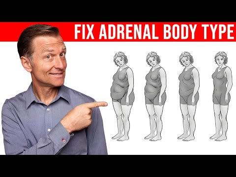 Adrenal Body Type Seminar by Dr Eric Berg