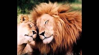 Locked in love Cover (Brandy)