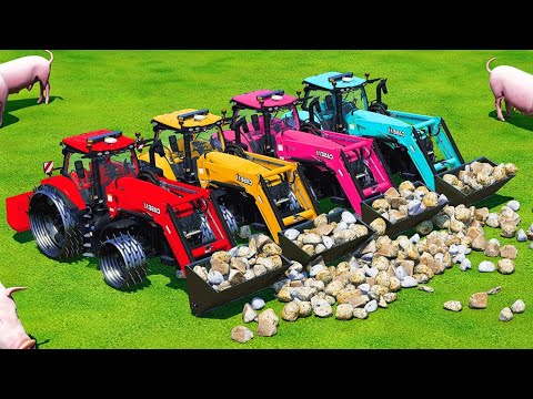 LOAD And TRANSPORT STONES AND PIG FOOD WITH CLAAS AND CASE TRACTORS LOADERS - Farming Simulator 22