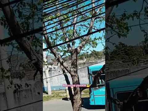 colectivo linea 103# en movimiento#granadero Baigorria💪#