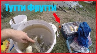 На рыбалку карась тутти фрутти в сентябре