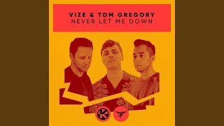 Musik-Video-Miniaturansicht zu Never Let Me Down Songtext von VIZE & Tom Gregory
