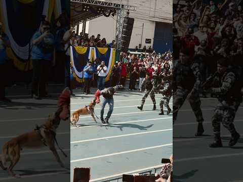 Belíssima apresentação da Polícia Militar com cão policial de Santarém #ccsjorgesantarem